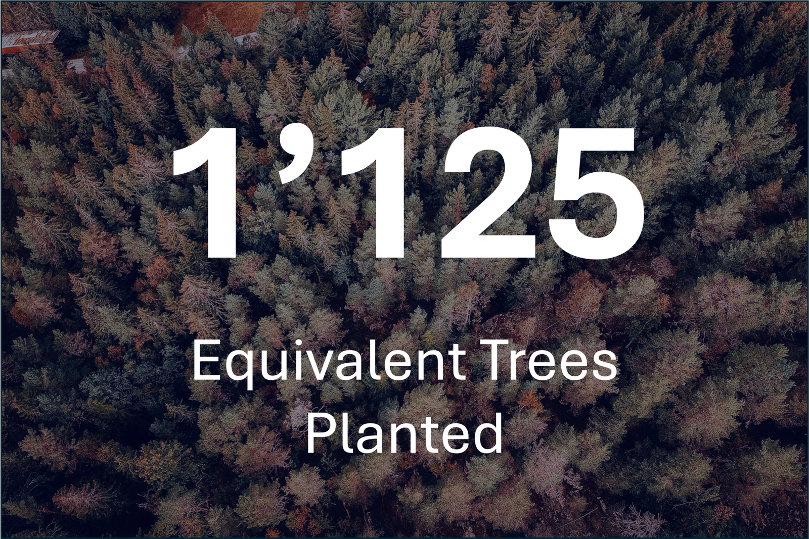 Qep Equivalent Trees